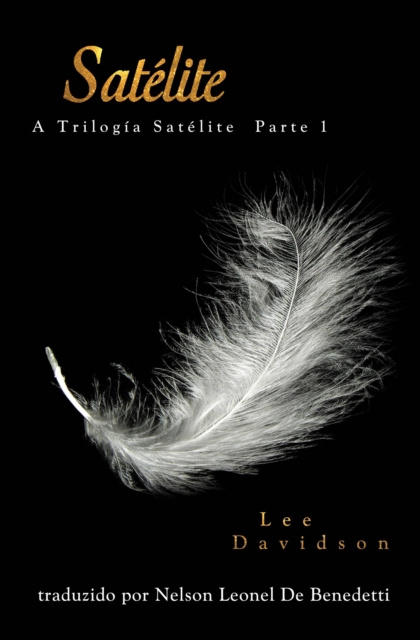 E-knjiga Satelite Lee Davidson