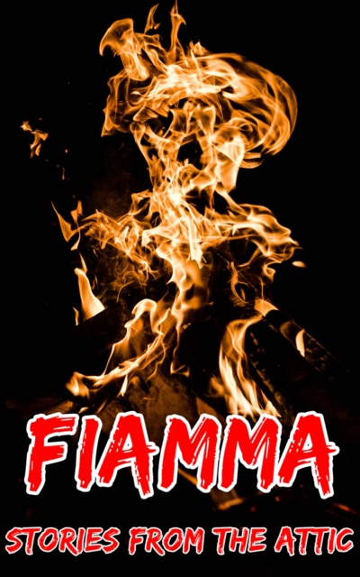 E-knjiga Fiamma Storie Dalla Soffitta