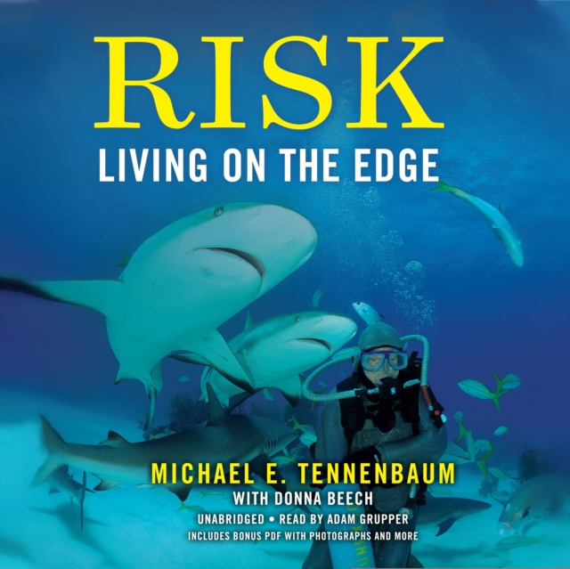 Audiobook Risk Michael E. Tennenbaum