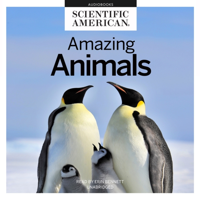 Audiobook Amazing Animals Scientific American