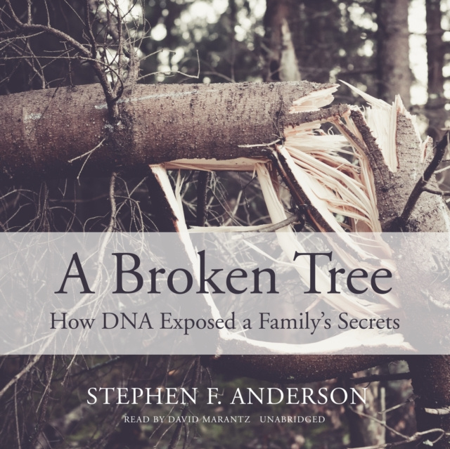 Audiobook Broken Tree Stephen F. Anderson