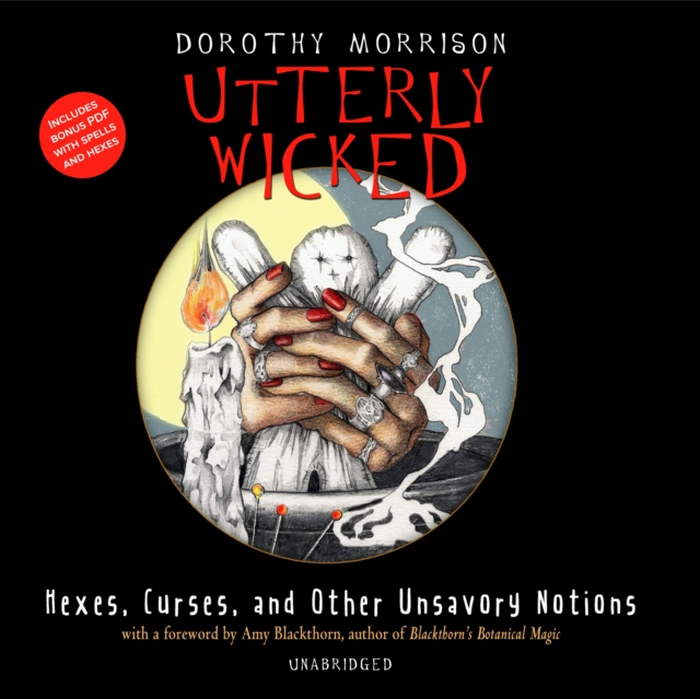 Hörbuch Utterly Wicked Dorothy Morrison