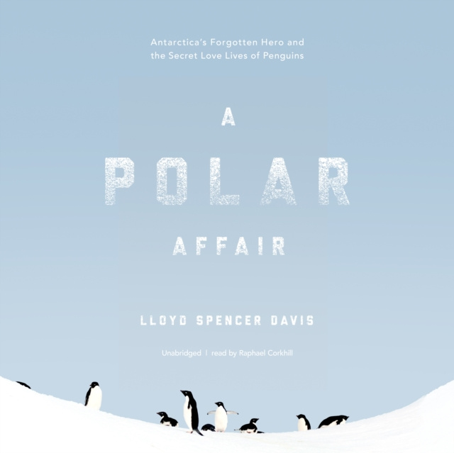 Audiokniha Polar Affair Lloyd Spencer Davis