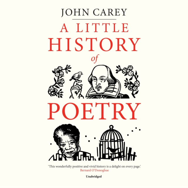 Аудиокнига Little History of Poetry John Carey