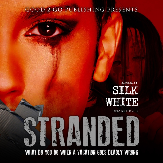 Audiobook Stranded Silk White