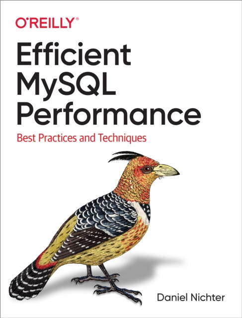 E-book Efficient MySQL Performance Daniel Nichter