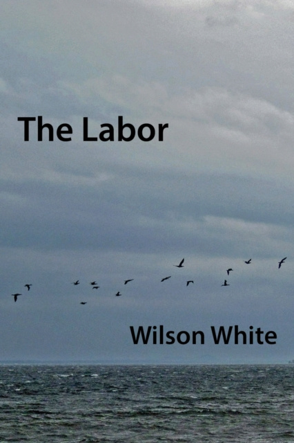 E-knjiga Labor Wilson White