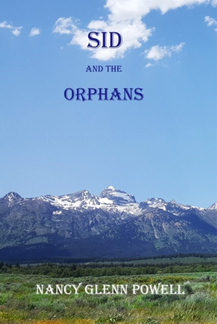 E-knjiga Sid and the Orphans Nancy Glenn Powell