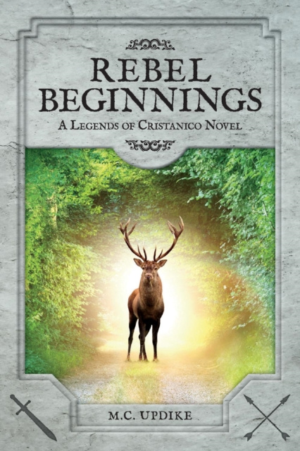 E-knjiga Rebel Beginnings M.C. Updike