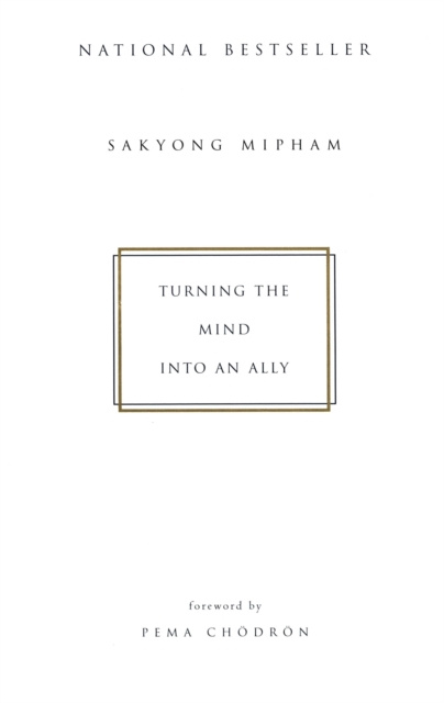 E-kniha Turning the Mind Into an Ally Sakyong Mipham