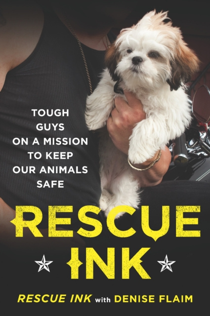 ebook Rescue Ink Denise Flaim