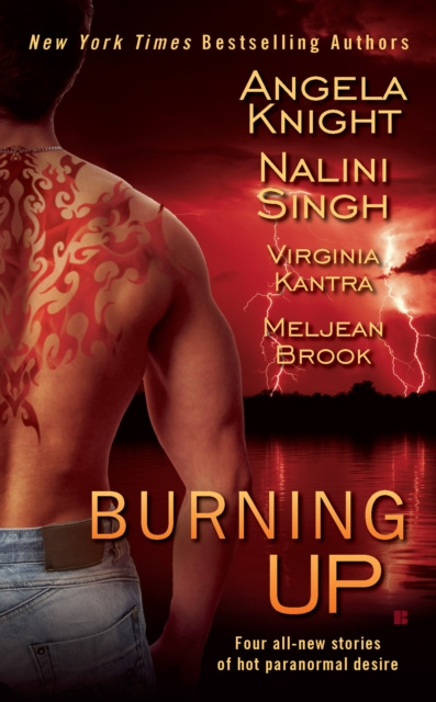 E-book Burning Up Angela Knight