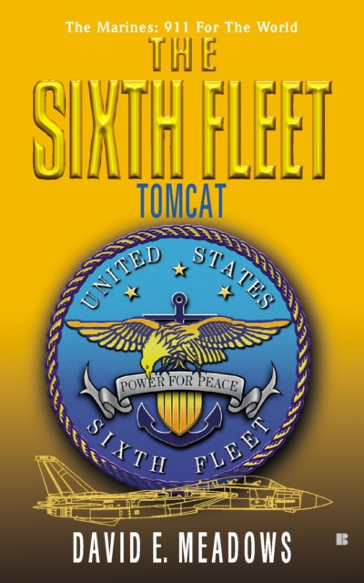 E-knjiga Sixth Fleet: Tomcat David E. Meadows