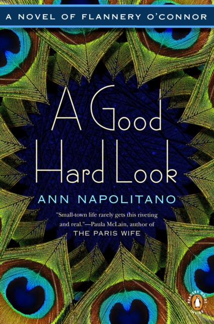 E-kniha Good Hard Look Ann Napolitano