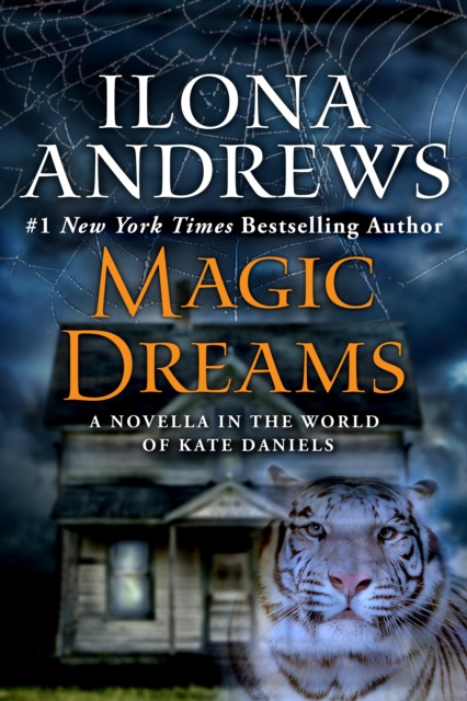 E-knjiga Magic Dreams Ilona Andrews
