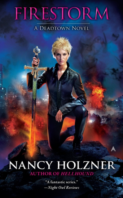 E-book Firestorm Nancy Holzner