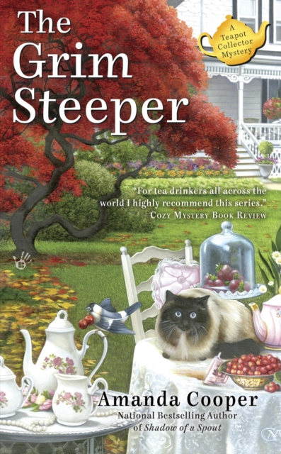 E-knjiga Grim Steeper Amanda Cooper