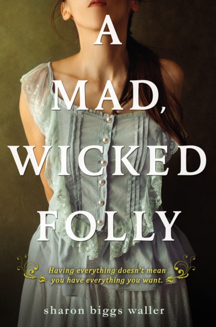E-book Mad, Wicked Folly Sharon Biggs Waller