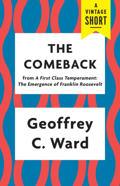 E-kniha Comeback Geoffrey C. Ward