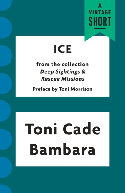 E-knjiga Ice Toni Cade Bambara