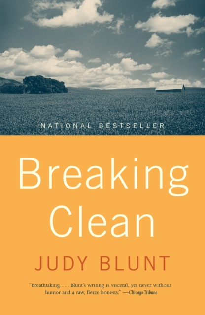 E-book Breaking Clean Judy J. Blunt