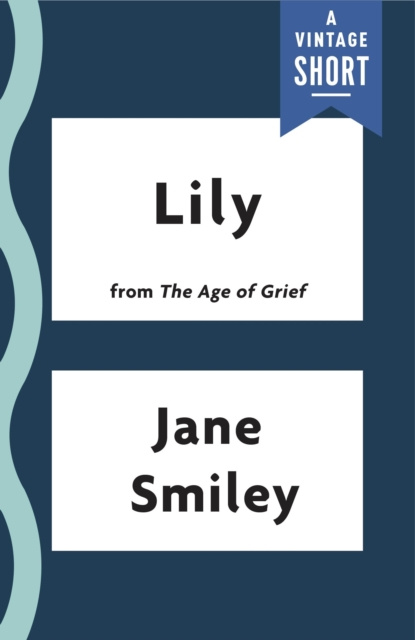 E-kniha Lily Jane Smiley