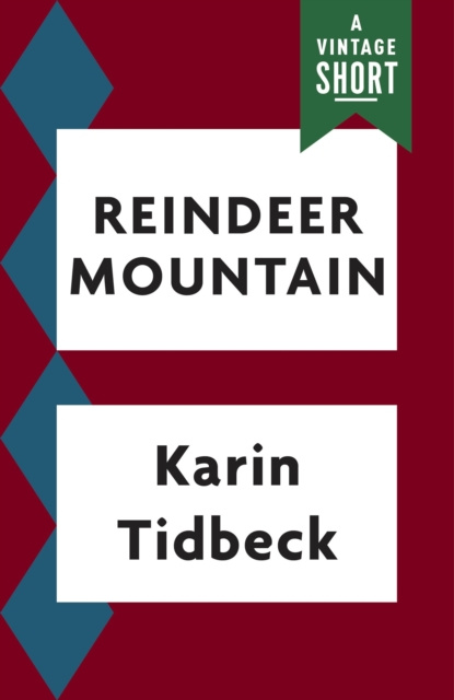 E-kniha Reindeer Mountain Karin Tidbeck