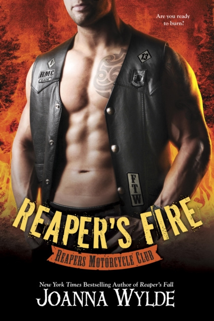 E-book Reaper's Fire Joanna Wylde