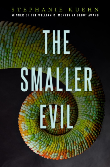 E-kniha Smaller Evil Stephanie Kuehn
