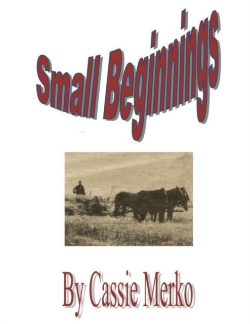 E-knjiga Small Beginnings Merko Cassie Merko