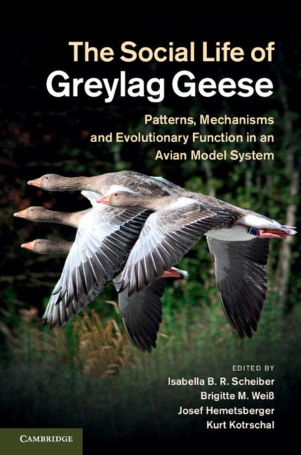 E-kniha Social Life of Greylag Geese Isabella B. R. Scheiber