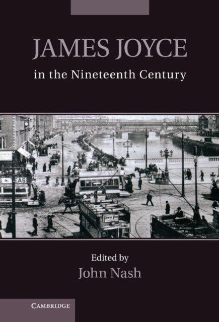 E-kniha James Joyce in the Nineteenth Century John Nash