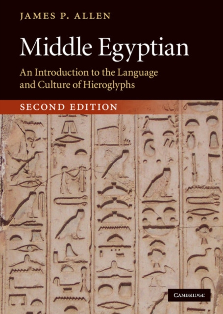 E-book Middle Egyptian James P. Allen