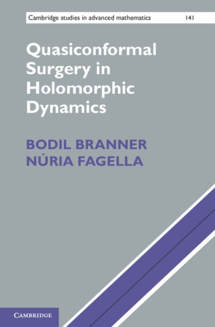 Libro elettronico Quasiconformal Surgery in Holomorphic Dynamics Bodil Branner