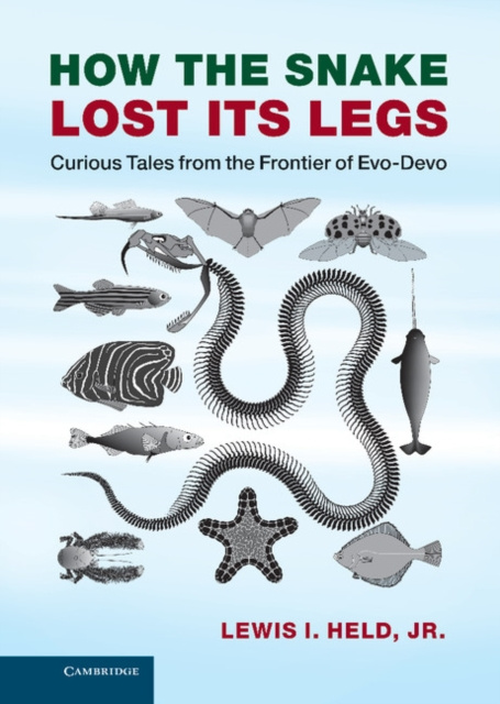 E-book How the Snake Lost its Legs Jr Lewis I. Held