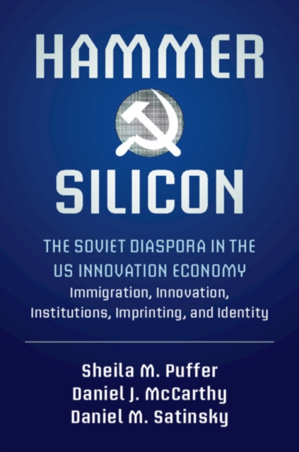 E-kniha Hammer and Silicon Sheila M. Puffer