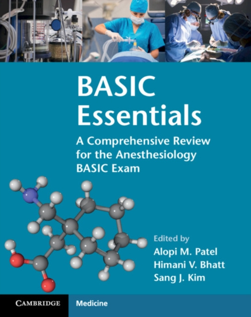E-knjiga BASIC Essentials Alopi M. Patel
