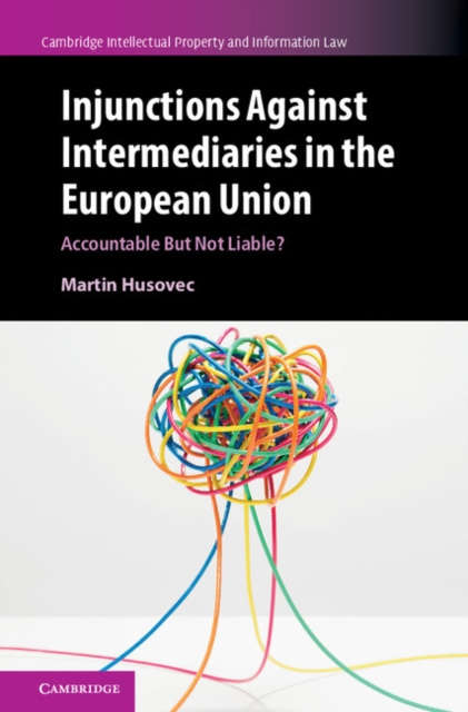 E-kniha Injunctions against Intermediaries in the European Union Martin Husovec