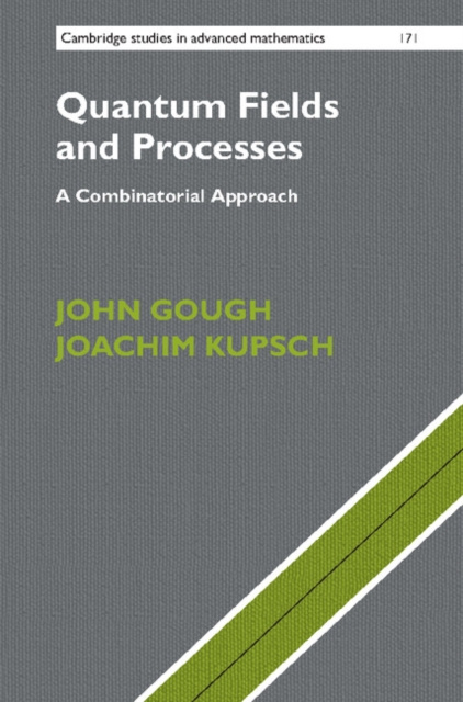 E-knjiga Quantum Fields and Processes John Gough