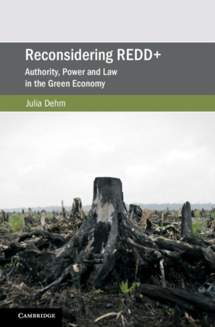 E-knjiga Reconsidering REDD+ Julia Dehm