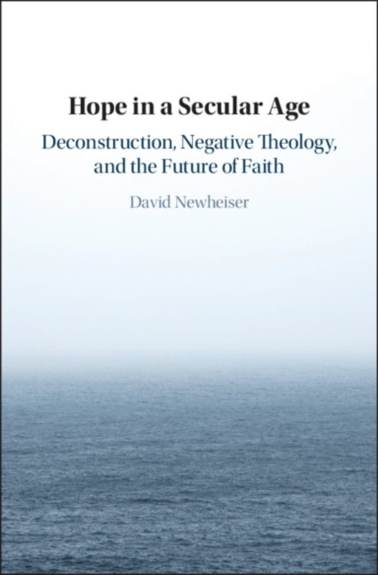 E-Book Hope in a Secular Age David Newheiser