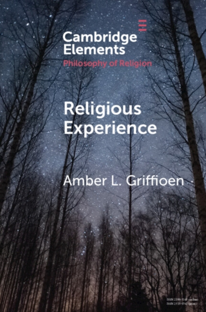 E-knjiga Religious Experience Amber L. Griffioen