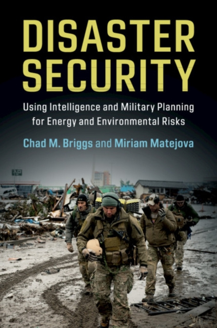 E-knjiga Disaster Security Chad M. Briggs
