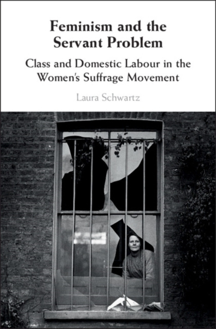 E-book Feminism and the Servant Problem Laura Schwartz