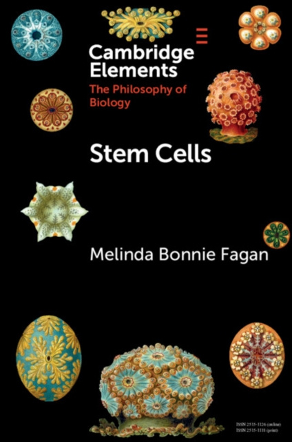 E-knjiga Stem Cells Melinda Bonnie Fagan