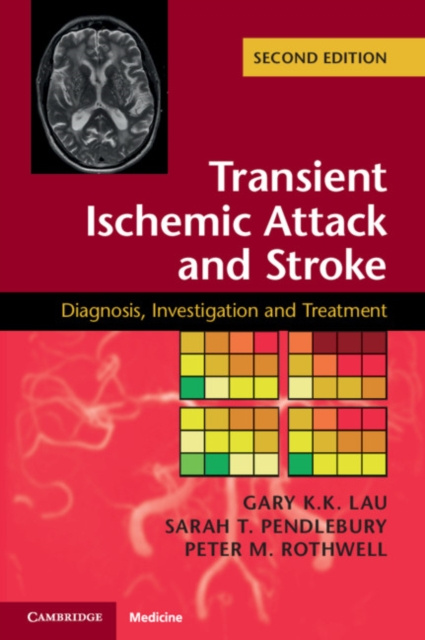 E-book Transient Ischemic Attack and Stroke Gary K. K. Lau