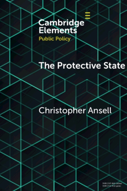E-book Protective State Christopher Ansell