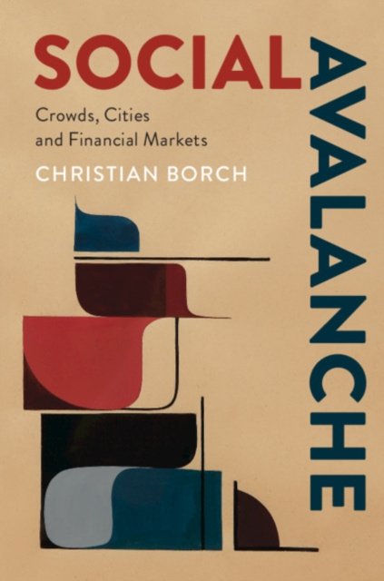 E-kniha Social Avalanche Christian Borch