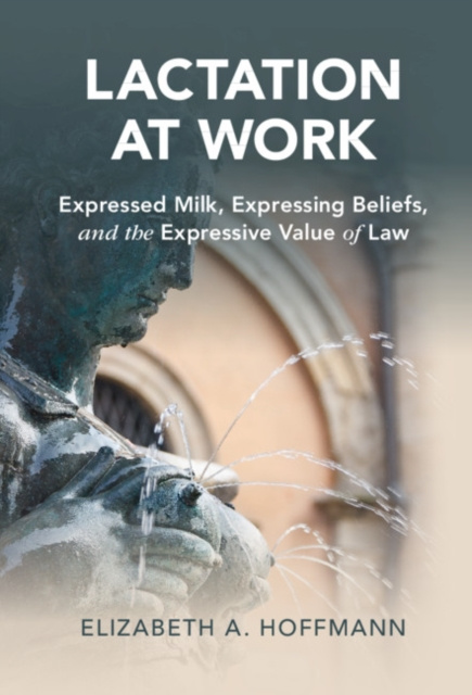 E-knjiga Lactation at Work Elizabeth A. Hoffmann
