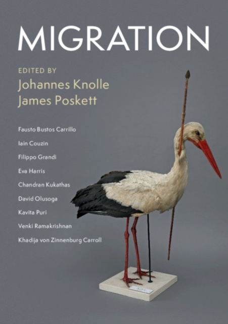 E-kniha Migration Johannes Knolle